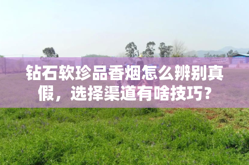 钻石软珍品香烟怎么辨别真假，选择渠道有啥技巧？